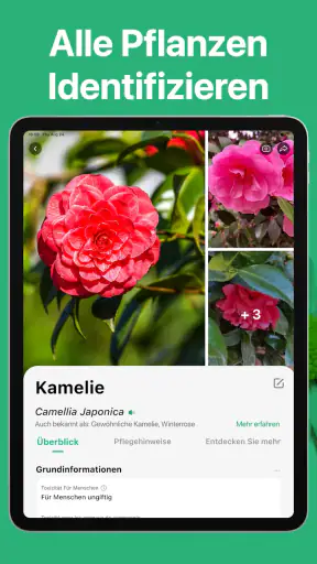 PictureThis Pflanzen bestimmen screenshot 10