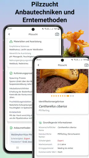 Pilzidentifikator screenshot