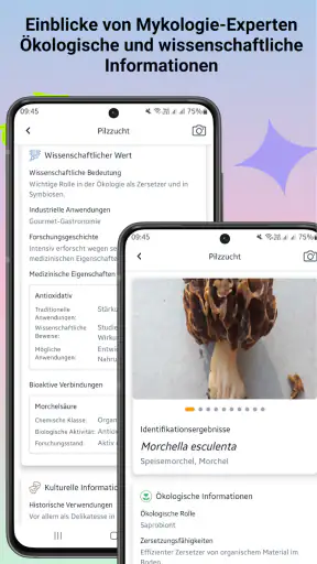 Pilzidentifikator screenshot