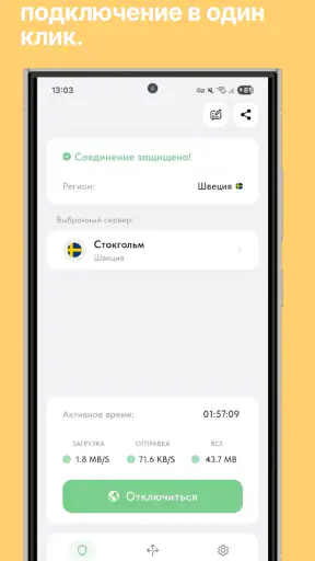 Ping VPN – schnell und sicher screenshot