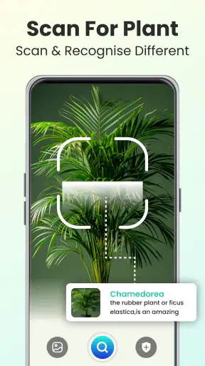 Plant Identifier - Plant Care screenshot