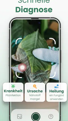 Plantify : Pflanzen Erkennen screenshot 12