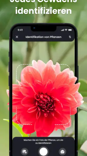 PlantIn - Pflanzen erkennen screenshot