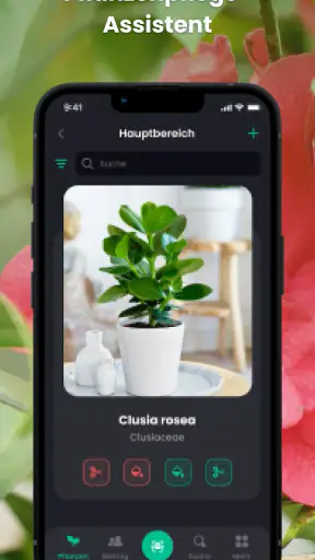 PlantIn - Pflanzen erkennen screenshot