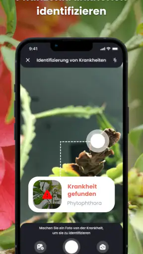 PlantIn - Pflanzen erkennen screenshot