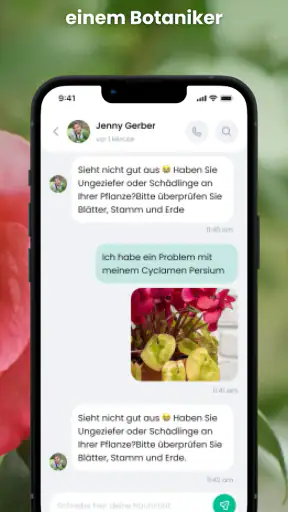PlantIn - Pflanzen erkennen screenshot