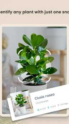 PlantIn - Pflanzen erkennen screenshot 9