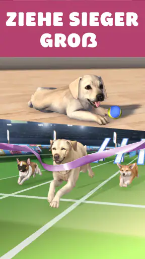 Pocket Paws: Meine süßen Hunde screenshot 10