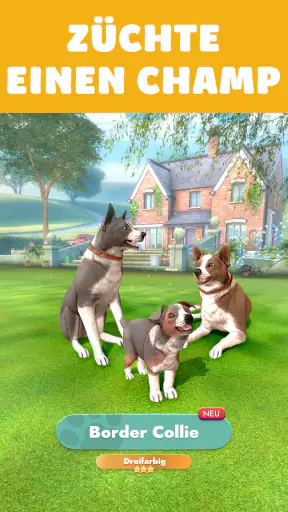 Pocket Paws: Meine süßen Hunde screenshot 9