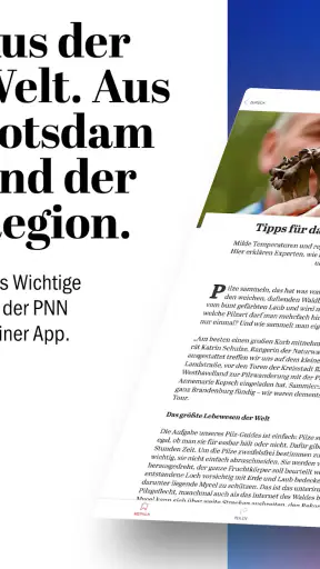 Potsdamer Neueste Nachrichten screenshot 9