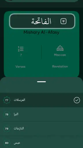 Quran Player Audio Offline screenshot