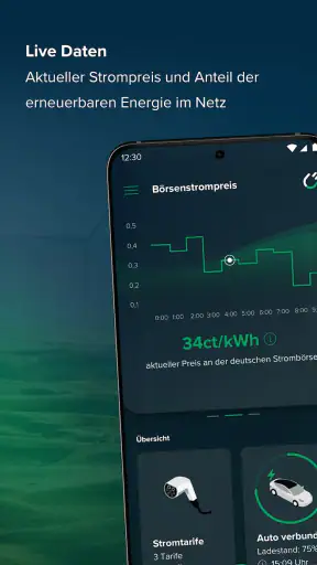 rabot.energy screenshot