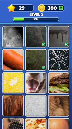 Ratet Es! Zoom Foto Spiel screenshot 11