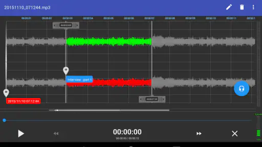 RecForge II Pro: Diktiergerät screenshot 11