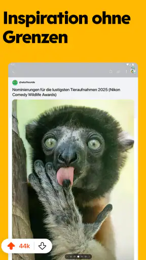 Reddit screenshot 12
