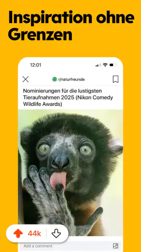 Reddit screenshot