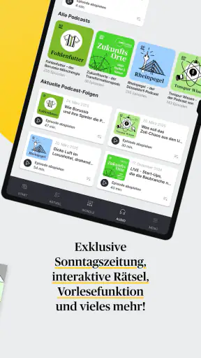 RP ePaper screenshot 12