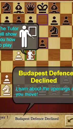 Schach (Chess) screenshot 11