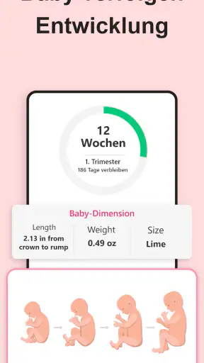 Schwangerschaft Rechner screenshot 10