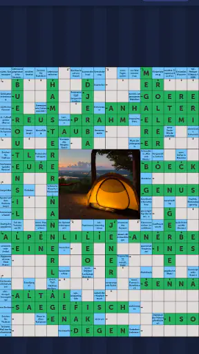 Schwedenrätsel: Wortsuche screenshot