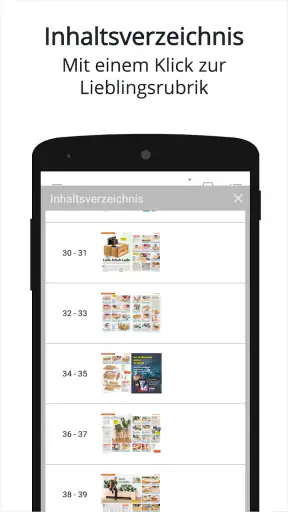selbst ist der Mann ePaper screenshot