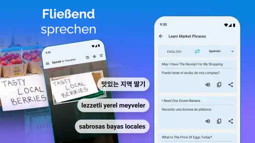 Sprechen und übersetzen screenshot
