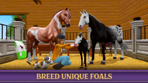 Star Equestrian – Pferderanch screenshot 9
