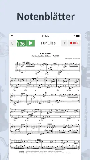 Stimmgerät & Metronom screenshot 10