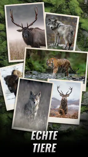 Trophy Hunter – Casual Game screenshot