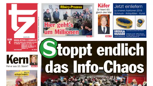 tz ePaper screenshot 12