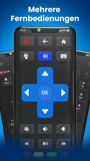 Universelle TV-Fernbedienung screenshot