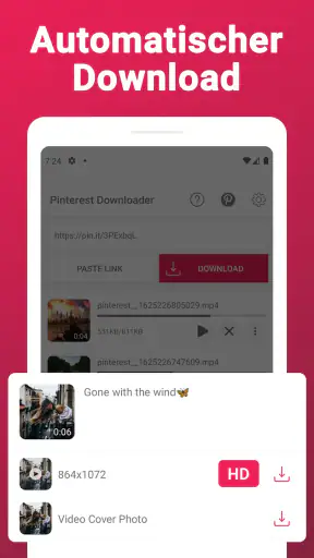 Video-Downloader für Pinterest screenshot