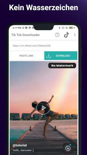 Video Ohne Wasserzeichen TT screenshot