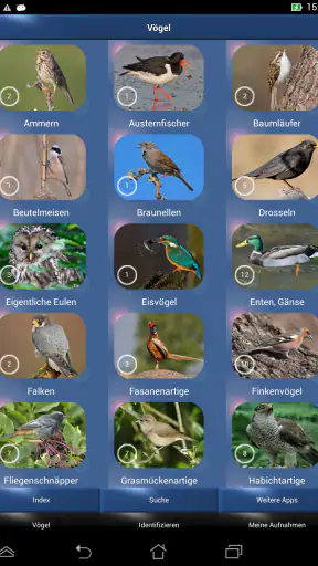 Vogelstimmen Id - Ruf + Gesang screenshot