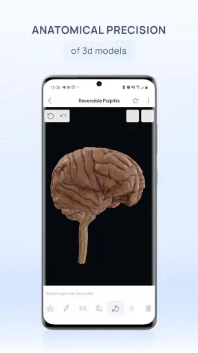 VOKA 3D Anatomie Atlas Lernen screenshot