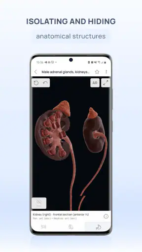 VOKA 3D Anatomie Atlas Lernen screenshot