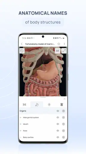 VOKA 3D Anatomie Atlas Lernen screenshot