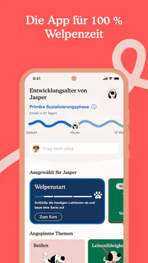 Zigzag: Welpentraining screenshot