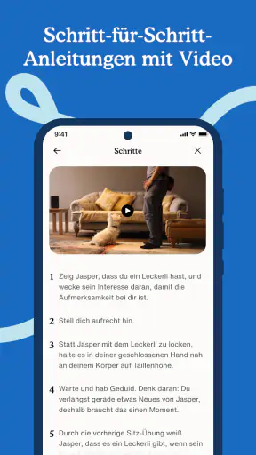 Zigzag: Welpentraining screenshot