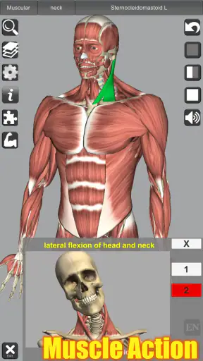 3D Anatomy screenshot 10