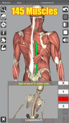 3D Anatomy screenshot