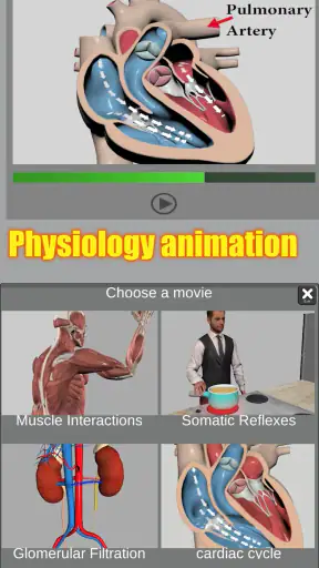 3D Anatomy screenshot