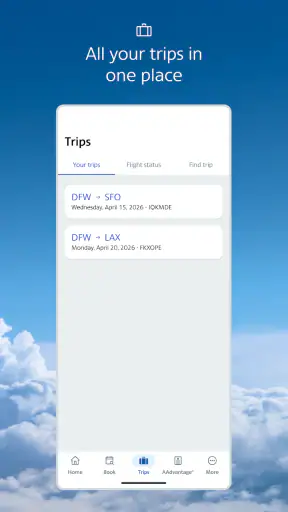 American Airlines screenshot
