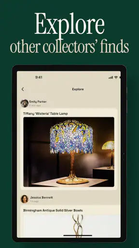 Antique Identifier Zophi screenshot 12