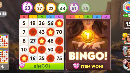 Bingo Diary screenshot 11