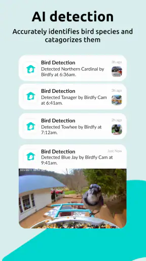 Birdfy screenshot 10