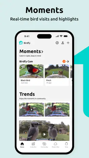 Birdfy screenshot 11