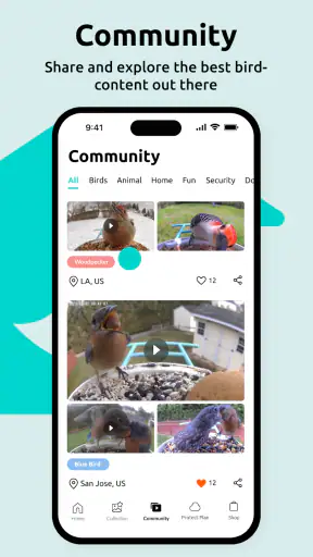 Birdfy screenshot 12