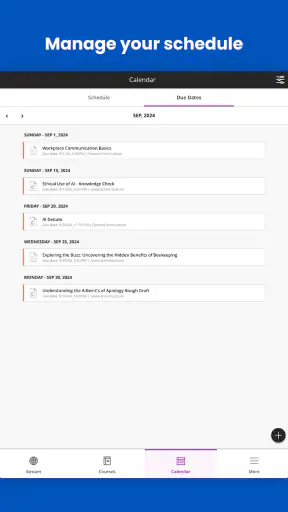 Blackboard screenshot 11