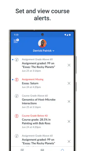 Canvas Parent screenshot